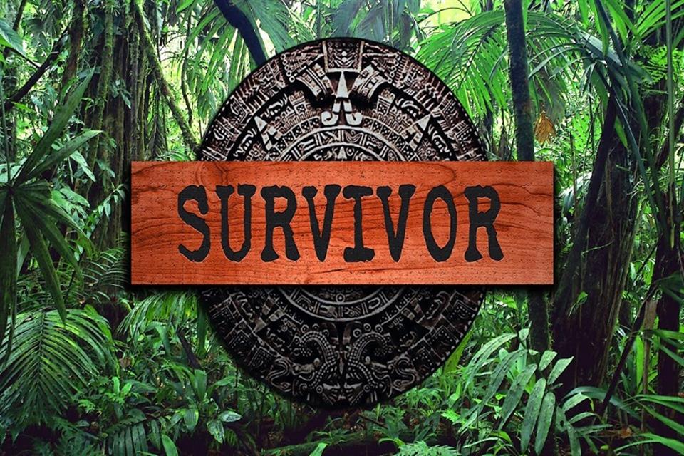 Survivor Banner by Air Game